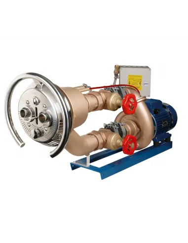 Masaż z brązu przeciwprąd Tajfun DUO zestaw końcowy pompa 63m3/h Hugo Lahme