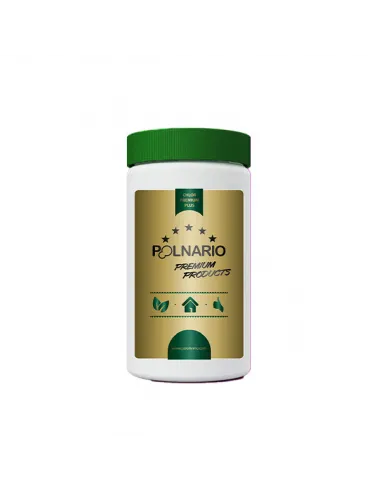 Chlor do basenu 1 kg granulat Poolnario Premium 40-10-001