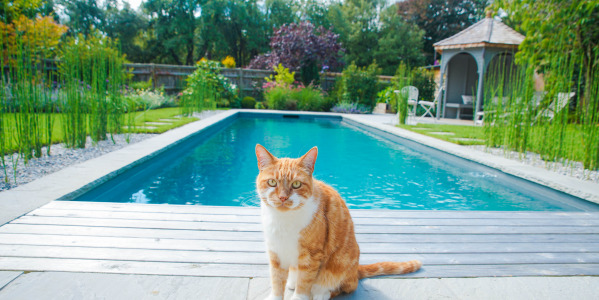 PIELĘGNACJA WODY BASENOWEJ najczęstsze problemy i sposoby ich rozwiązania